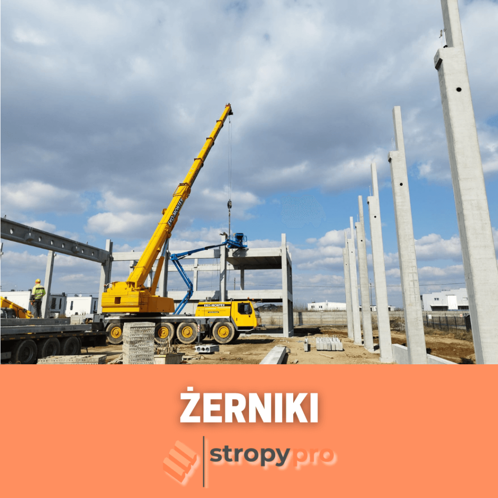 Konstrukcja hali przemysłowej z wykorzystaniem systemu prefabrykowane stropy - Żerniki